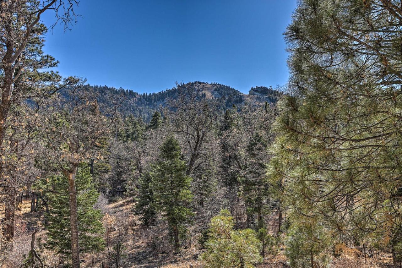 Chocolate Moose Cabin Short Walk To Slopes Villa Big Bear Lake Eksteriør billede