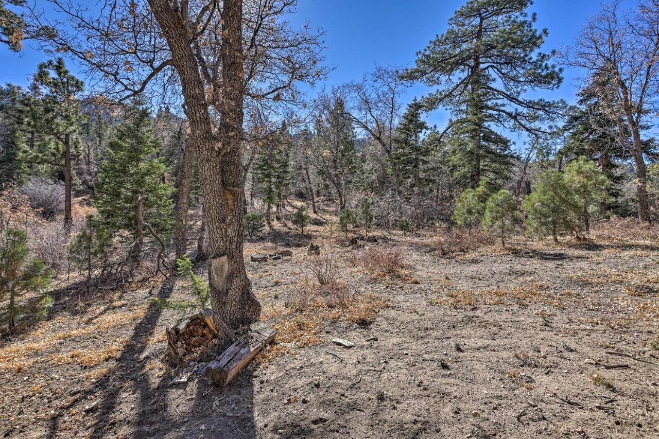Chocolate Moose Cabin Short Walk To Slopes Villa Big Bear Lake Eksteriør billede